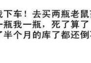 娱乐吃瓜酱经典语录搞笑,吃瓜酱语录带你领略欢乐盛宴