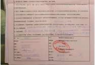 协议书与合同的区别,法律效力和内容差异解析