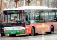 208路公交车路线,穿梭城市脉络，领略多元风情