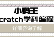 编程一般多少钱一个月,月收入几何？