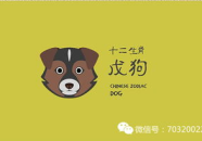 不撞南墙打一生肖