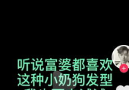 默默吃瓜的沙雕网友,揭秘娱乐圈幕后风云