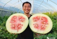 她已认不得人却始终忘不了让你吃瓜！91吃瓜