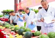 黑料吃瓜网V-148话正在窗边和恩爱无修改 - 148话正在窗边和恩爱无修改官方老版本下载V- 官方老版本下载V